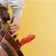 Handyman repair service in El Paso, TX for home fixes and improvements